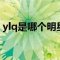 ylq是哪个明星的缩写（ylq是哪个明星缩写）