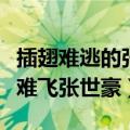 插翅难逃的张世豪真名（刺情的张世豪和插翅难飞张世豪）