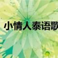 小情人泰语歌（求泰国电影(小情人)的插曲）