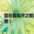 别在我离开之前离开歌词意思（别在我离开之前离开歌词意思）