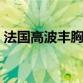 法国高波丰胸组合在哪里有卖（效果怎么样）