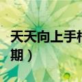 天天向上手相大师（天天向上上的看手相的一期）