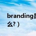 branding是什么软件（branding程序是什么?）