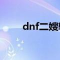 dnf二嫂辅助事件（DNF二嫂辅助）