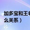 加多宝和王老吉什么价格（加多宝和王老吉什么关系）