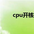 cpu开核心（关于开核CPU的问题）