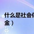 什么是社会保险基金账户（什么是社会保险基金）