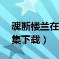 魂断楼兰在线观看免费（《魂断楼兰》第10集下载）