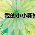 我的小小新娘国语版（我的“小拳击手”）