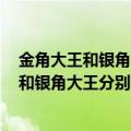 金角大王和银角大王分别是什么变的?（DNF中的金角大王和银角大王分别在那种地下城中有）