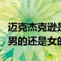 迈克杰克逊是男的还是女的题（迈克杰克逊是男的还是女的）