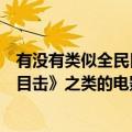 有没有类似全民目击的电影（求类似于《圣诞玫瑰》《全民目击》之类的电影）