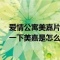 爱情公寓美嘉片段（爱情公寓3的发布会上有个女记者推了一下美嘉是怎么回事）