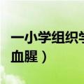 一小学组织学生观看杀年猪（网友：会不会太血腥）