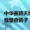 中华赛鸽天地网（赛鸽天地网中国信鸽信息网我想查鸽子）