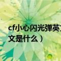 cf小心闪光弹英文（cf里扔手雷、闪光蛋、烟雾弹时说的英文是什么）