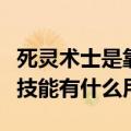 死灵术士是靠什么打伤害的（死灵术士的服从技能有什么用）