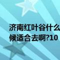 济南红叶谷什么时候去最好（济南红叶谷好玩儿吗?什么时候适合去啊?10）