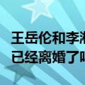 王岳伦和李湘真实感情状况（王岳伦李湘确认已经离婚了吗）