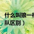 什么叫狼一样的团队（狼带的团队和羊带的团队区别）