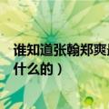 谁知道张翰郑爽最近干嘛呢（最近两人有没有出席什么活动什么的）