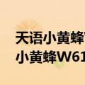 天语小黄蜂W619（天语小黄蜂T619和天语小黄蜂W619有区别么）