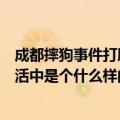 成都摔狗事件打脸网友（你认为成都摔狗事件的何某现实生活中是个什么样的人）