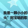 我是一颗小小的石头歌词是什么（歌词“我是一颗小小的石头”阿宝唱的歌名叫什么）