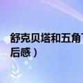 舒克贝塔和五角飞碟主要内容（《舒克贝塔和五角飞碟》读后感）