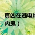 真凶在逃电视剧全部演员（电视剧叛逃中谁是内鬼）