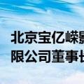 北京宝亿嵘影业有限公司（北京宝亿嵘影业有限公司董事长）