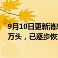 9月10日更新消息 温氏股份：有可能提前实现能繁母猪140万头，已逐步恢复职能部门普通员工薪酬