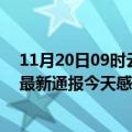 11月20日09时云南西双版纳疫情每天人数及西双版纳疫情最新通报今天感染人数