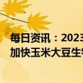 每日资讯：2023年中央一号文件：深入实施种业振兴行动，加快玉米大豆生物育种产业化步伐