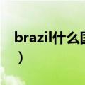 brazil什么国家（brazil是哪个国家简介介绍）