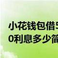 小花钱包借5000利息多少（小花钱包借10000利息多少简介介绍）