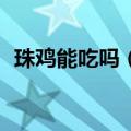 珠鸡能吃吗（珠鸡）2023年05月25日更新