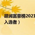 胡润富豪榜2021世界1000名榜单（韩啸 年胡润全球富豪榜入选者）