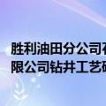 胜利油田分公司石油工程技术研究院（蓝强 胜利石油工程有限公司钻井工艺研究院研究员）