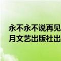 永不永不说再见在线阅读（永不永不说再见 2008年北京十月文艺出版社出版的图书）