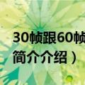 30帧跟60帧的区别（60帧数和30帧数的区别简介介绍）