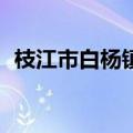 枝江市白杨镇卫生院120急救站站长曹艳华