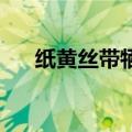 纸黄丝带牺牲灵魂――白晓燕绑架案始末