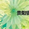 贵阳银行：副行长梁宗敏辞任