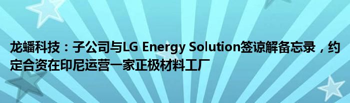 龙蟠科技：子公司与LG Energy Solution签谅解备忘录，约定合资在印尼运营一家正极材料工厂