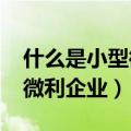 什么是小型微利企业标准2023（什么是小型微利企业）