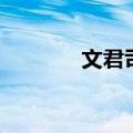 文君司马的意思（文君司马）