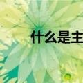 什么是主板上市公司（什么是主板）