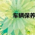 车辆保养周期表图（车辆保养周期）