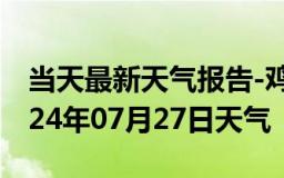 当天最新天气报告-鸡泽天气预报邯郸鸡泽2024年07月27日天气